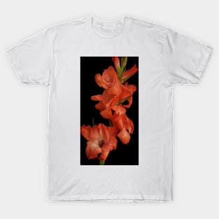 Red Gladioli T-Shirt